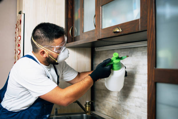 Best Pest Control Treatment  in Bennington, NE