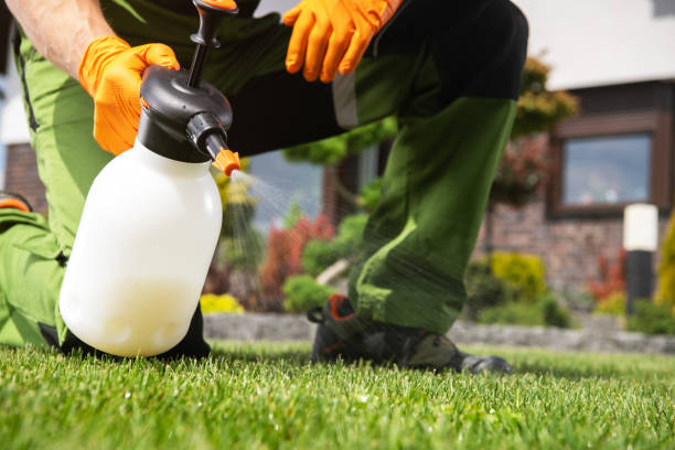 Wildlife Control Services in Bennington, NE