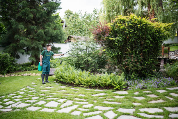 Best Pest Inspection Near Me  in Bennington, NE
