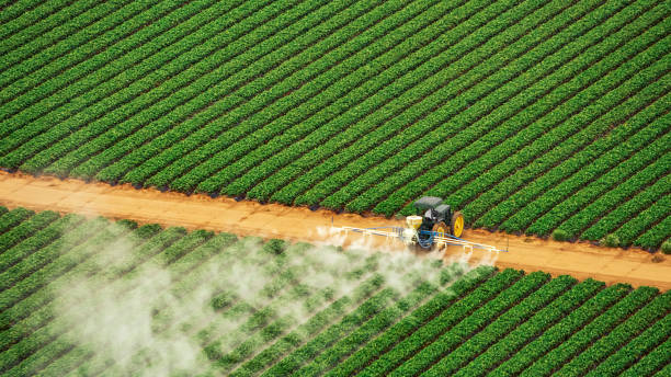 Best Termite Control Services  in Bennington, NE