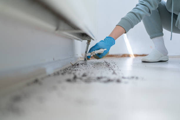 Best Residential Pest Control  in Bennington, NE